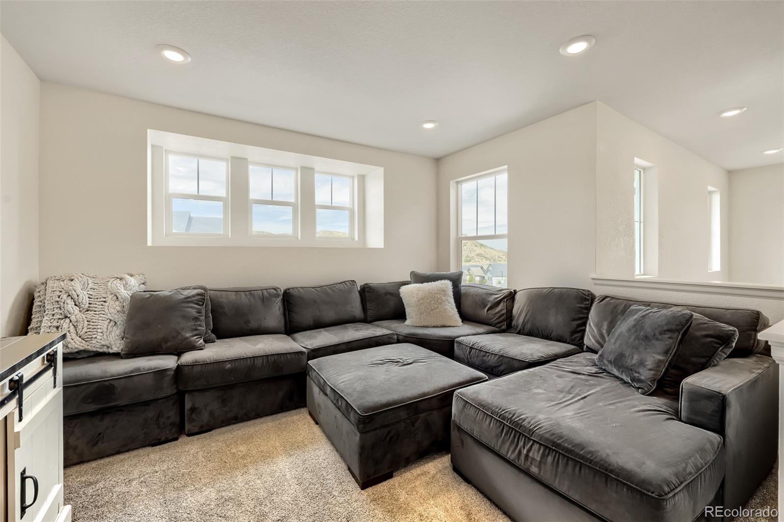 MLS Image #13 for 209  felicity loop,castle rock, Colorado