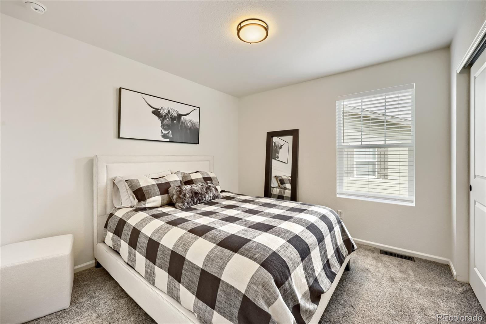 MLS Image #15 for 209  felicity loop,castle rock, Colorado