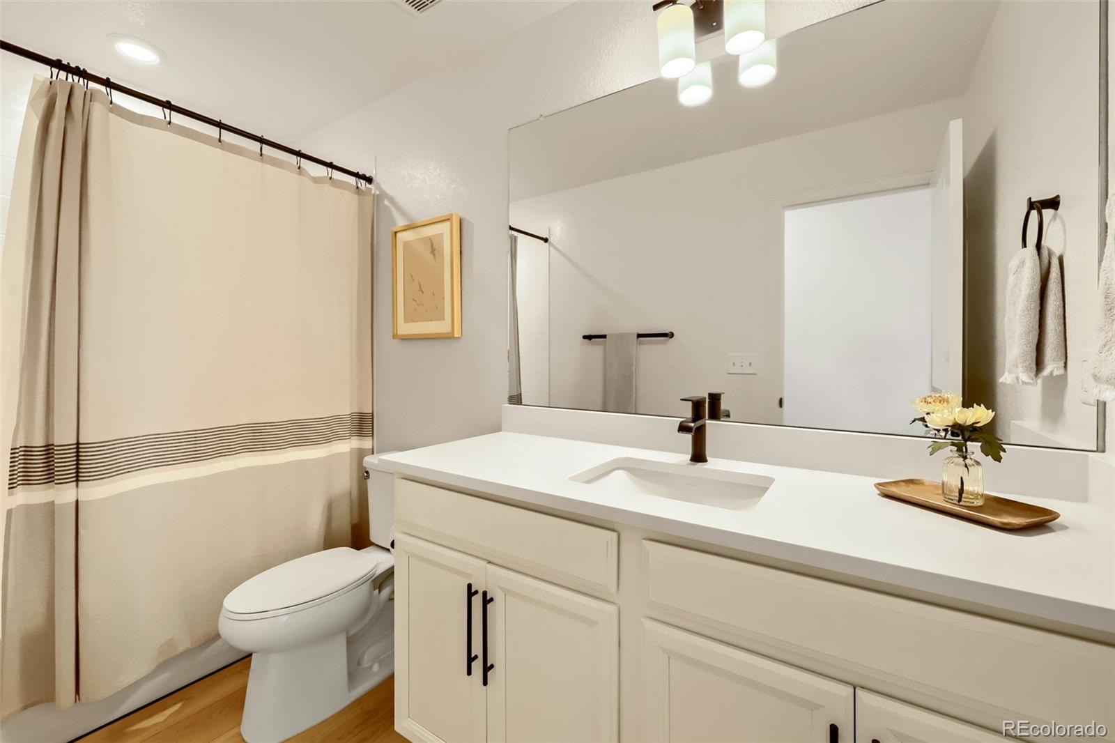 MLS Image #16 for 209  felicity loop,castle rock, Colorado