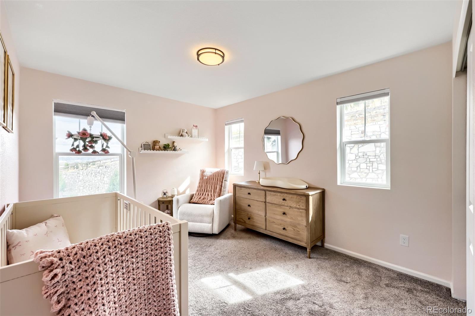 MLS Image #19 for 209  felicity loop,castle rock, Colorado