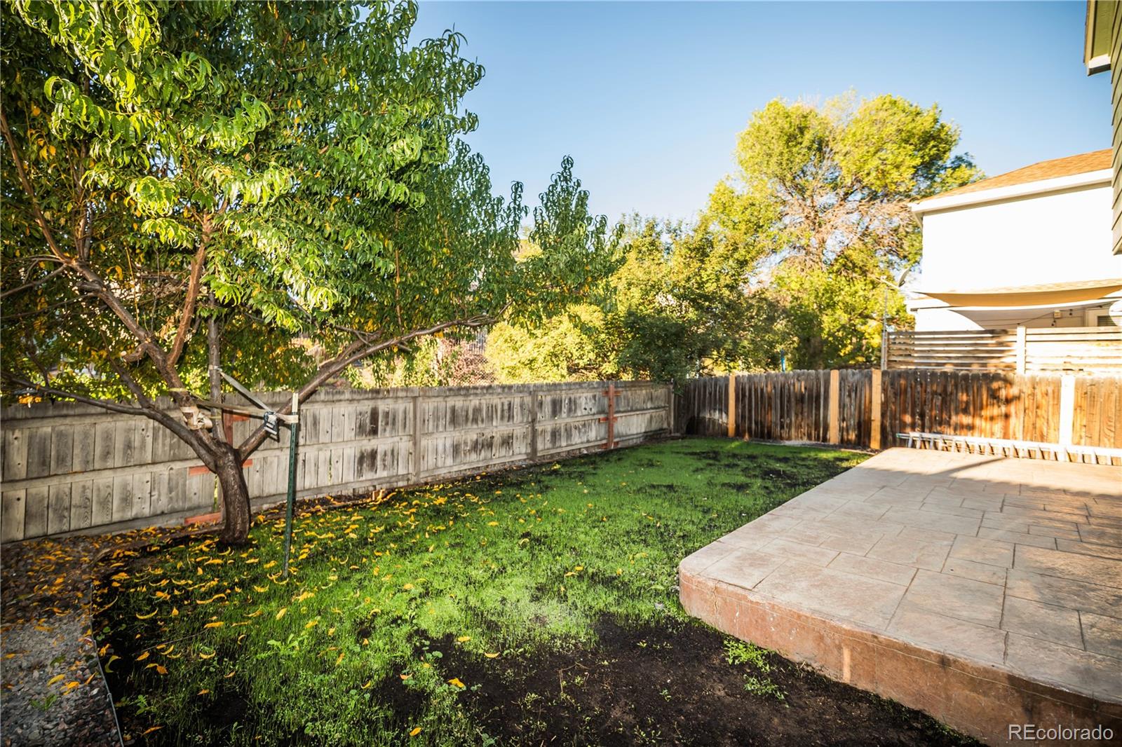 MLS Image #39 for 5446 w 115th place,westminster, Colorado
