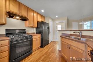 MLS Image #7 for 23653 e links place,aurora, Colorado