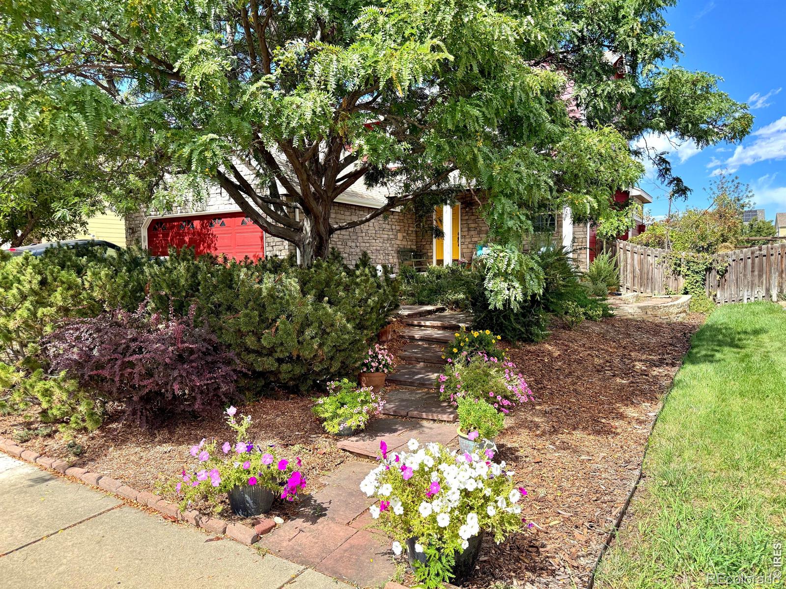 MLS Image #5 for 518  arbor drive,lafayette, Colorado
