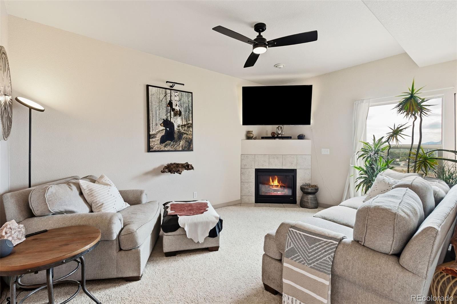 MLS Image #11 for 1135  westmoreland road,colorado springs, Colorado