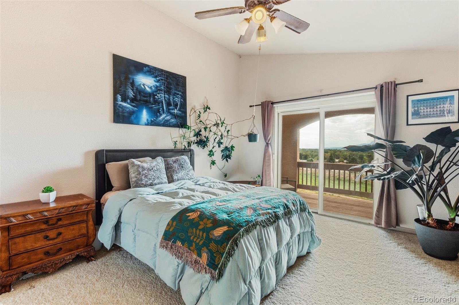 MLS Image #23 for 1135  westmoreland road,colorado springs, Colorado