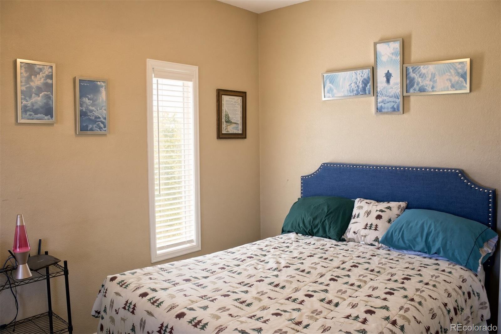 MLS Image #11 for 652  tristan loop,fairplay, Colorado