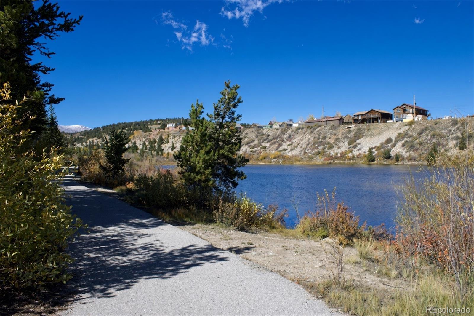 MLS Image #16 for 652  tristan loop,fairplay, Colorado