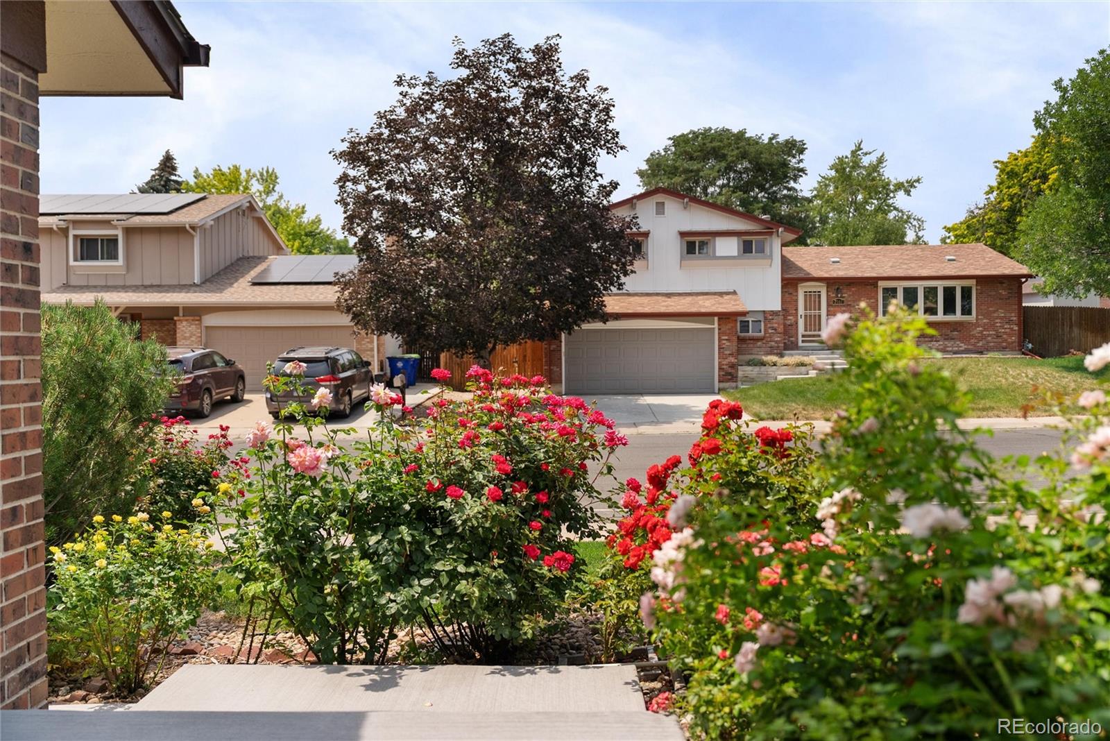 MLS Image #46 for 7350  jay street,arvada, Colorado