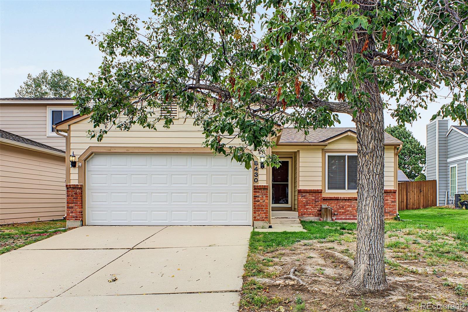 MLS Image #4 for 8430  sassafras drive,colorado springs, Colorado