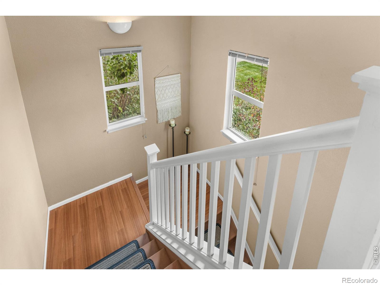 MLS Image #22 for 635  gooseberry drive,longmont, Colorado