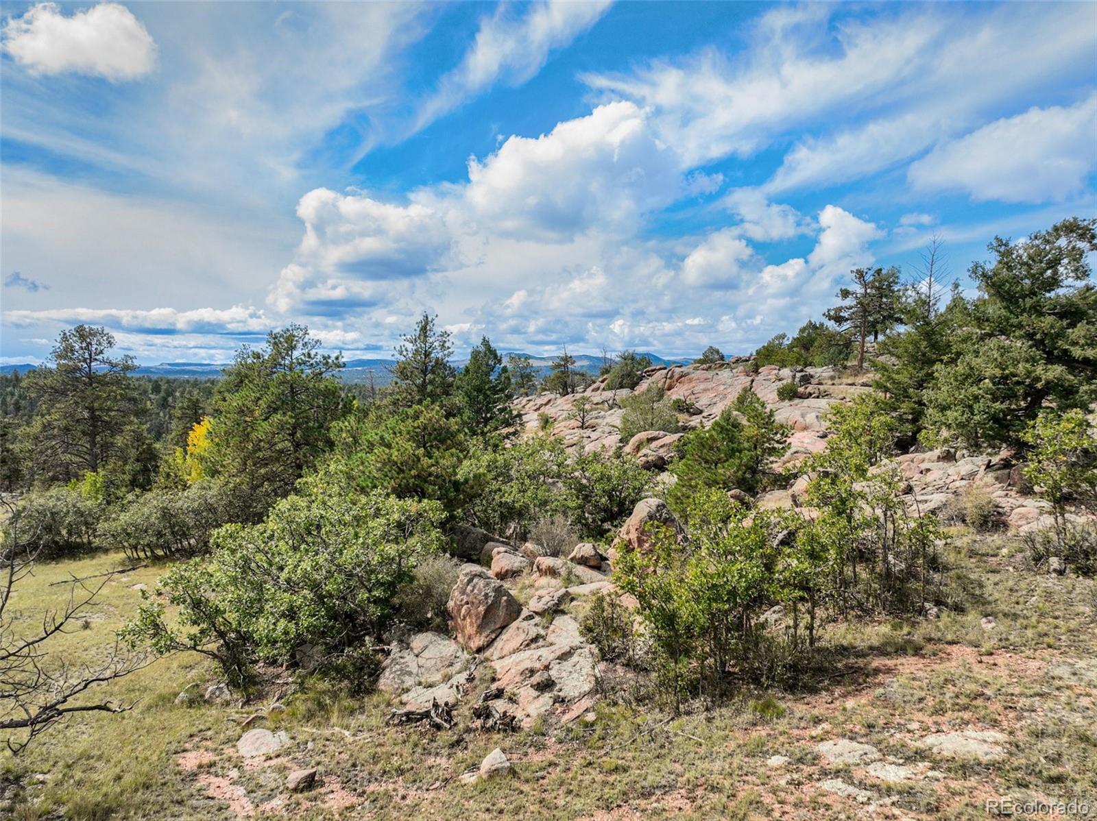 MLS Image #11 for 82  ute circle,florissant, Colorado
