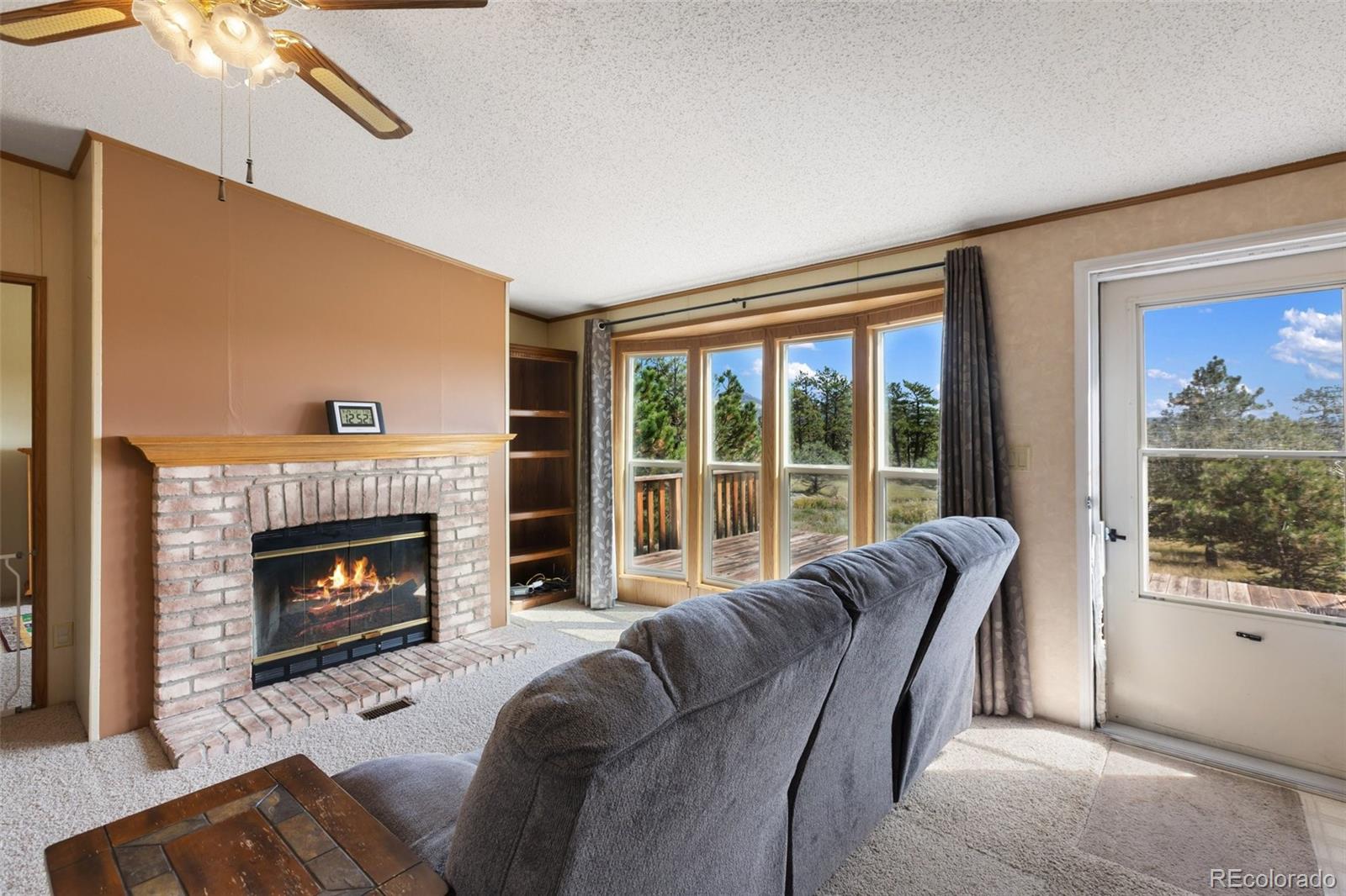 MLS Image #12 for 82  ute circle,florissant, Colorado
