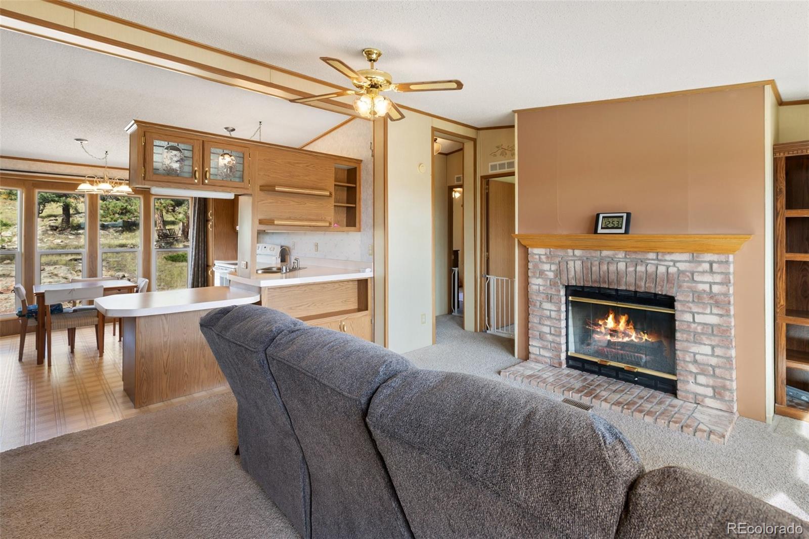 MLS Image #13 for 82  ute circle,florissant, Colorado