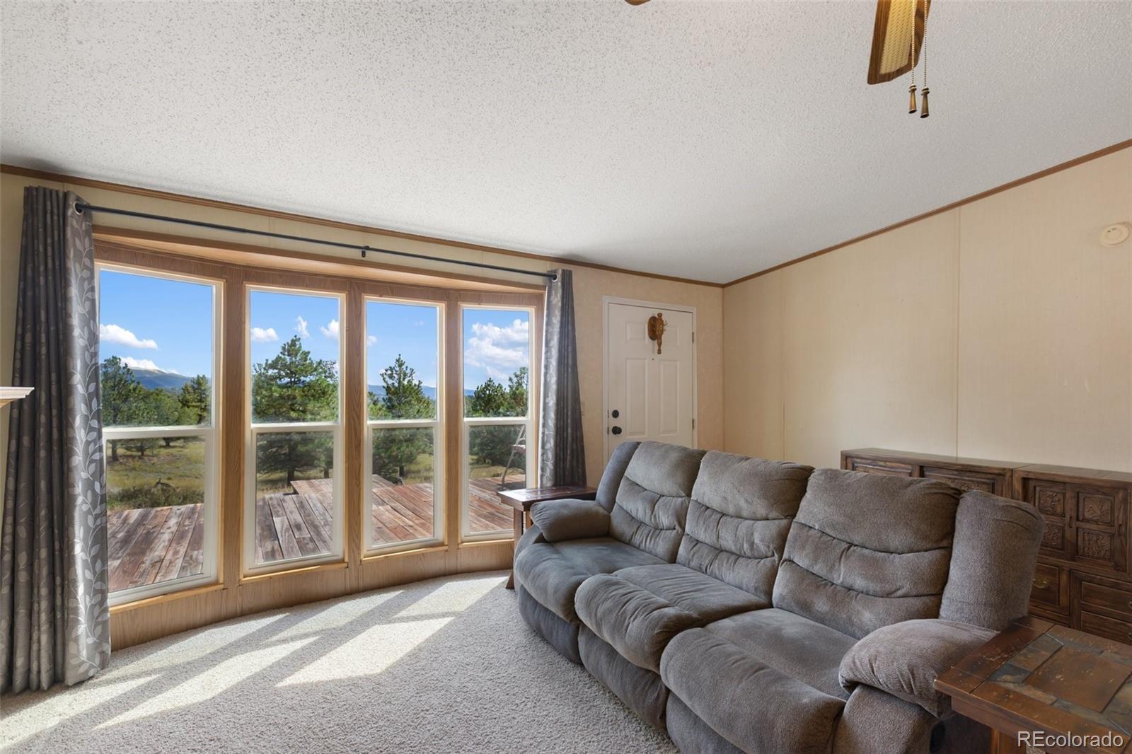 MLS Image #14 for 82  ute circle,florissant, Colorado