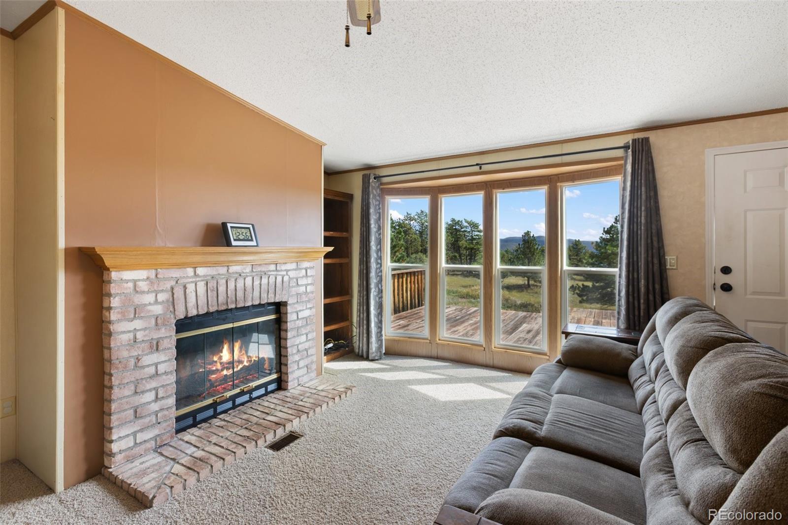 MLS Image #16 for 82  ute circle,florissant, Colorado