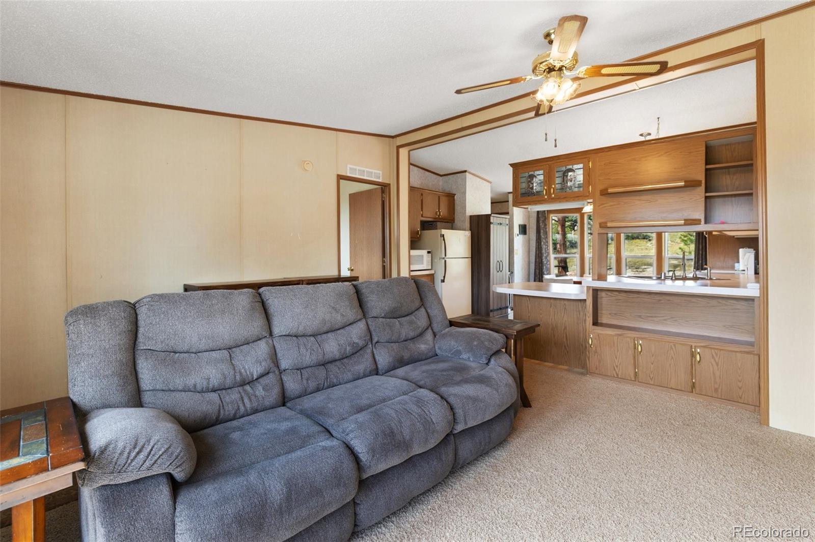 MLS Image #17 for 82  ute circle,florissant, Colorado