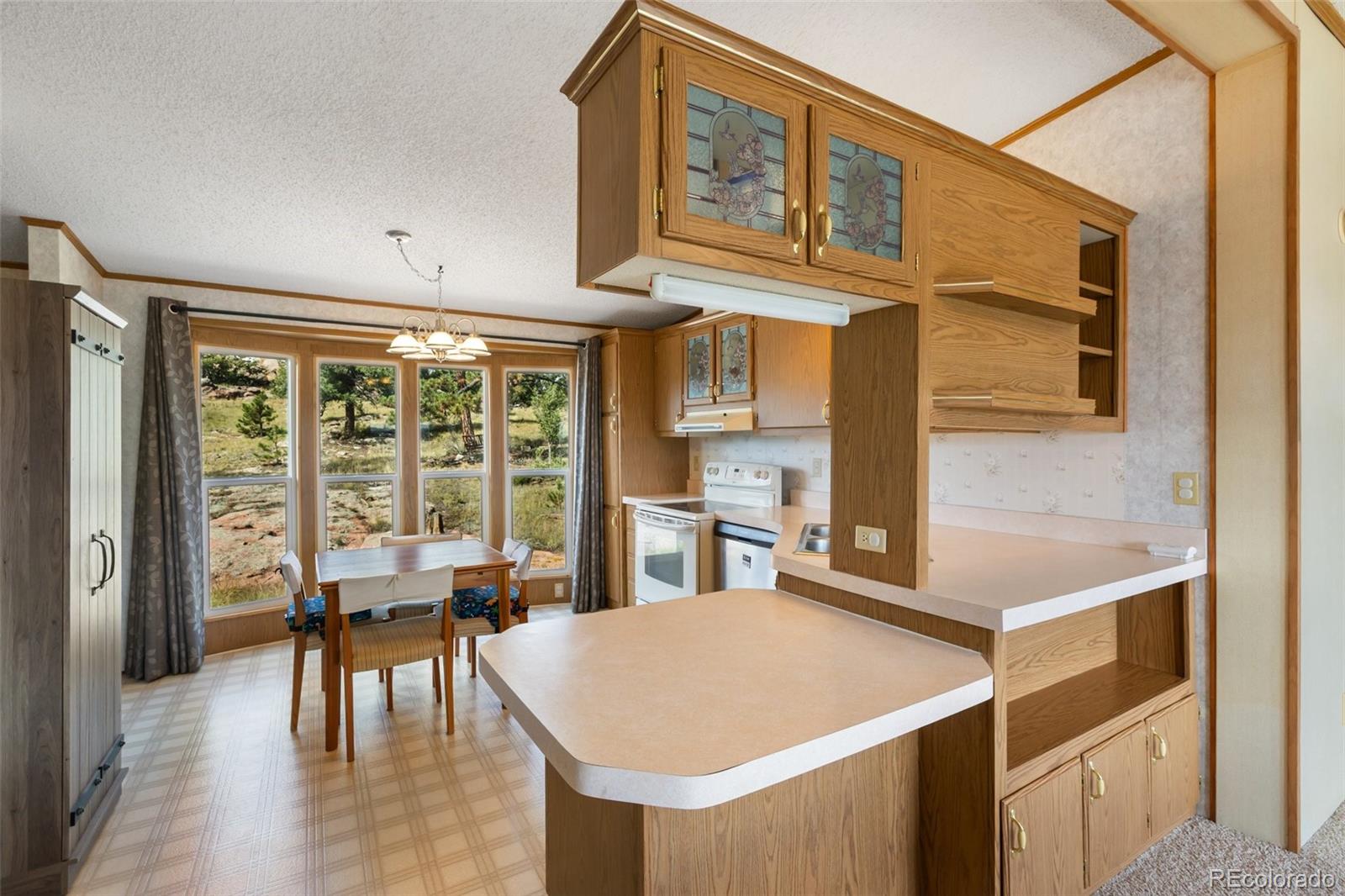 MLS Image #18 for 82  ute circle,florissant, Colorado