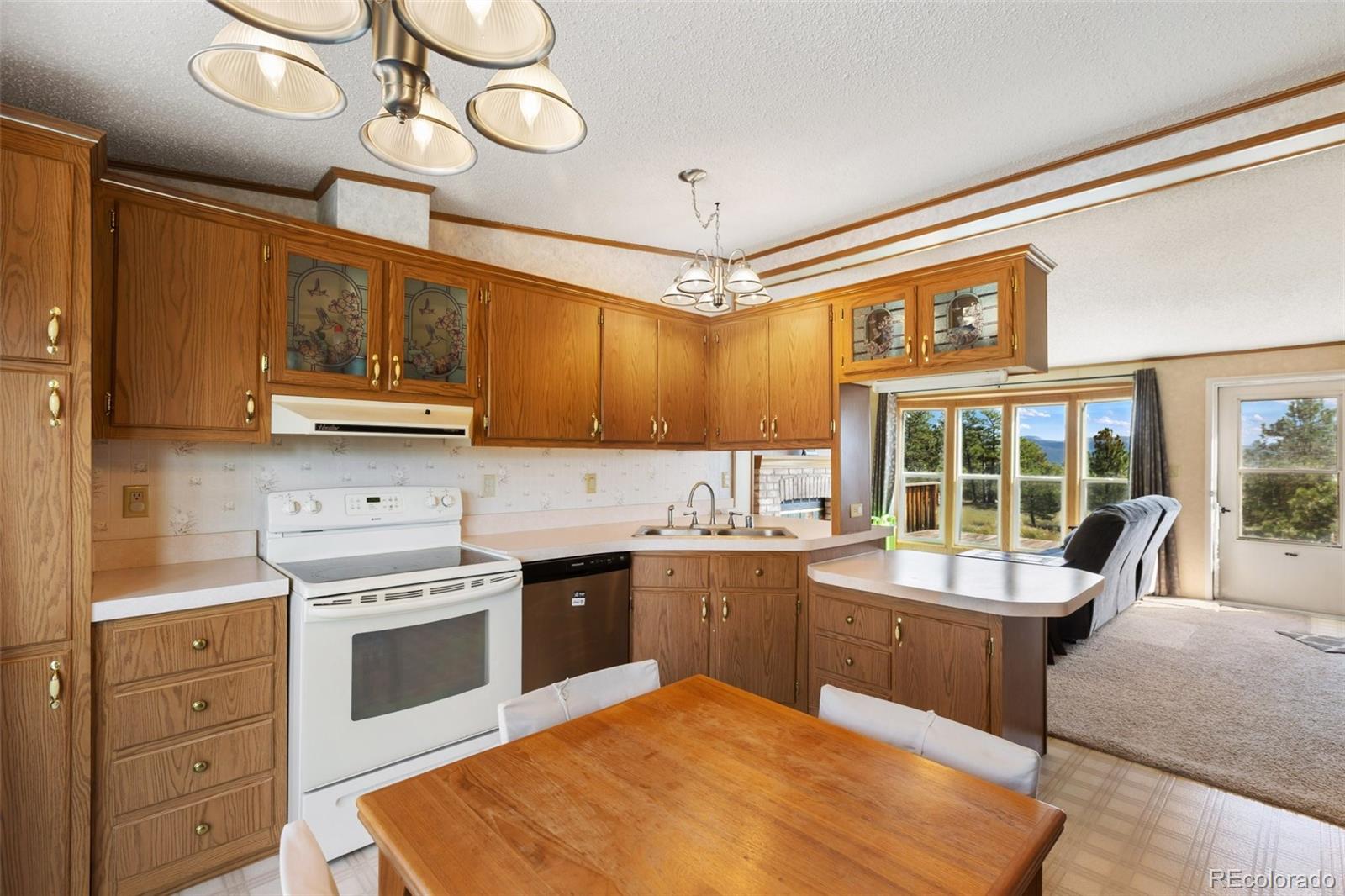 MLS Image #21 for 82  ute circle,florissant, Colorado