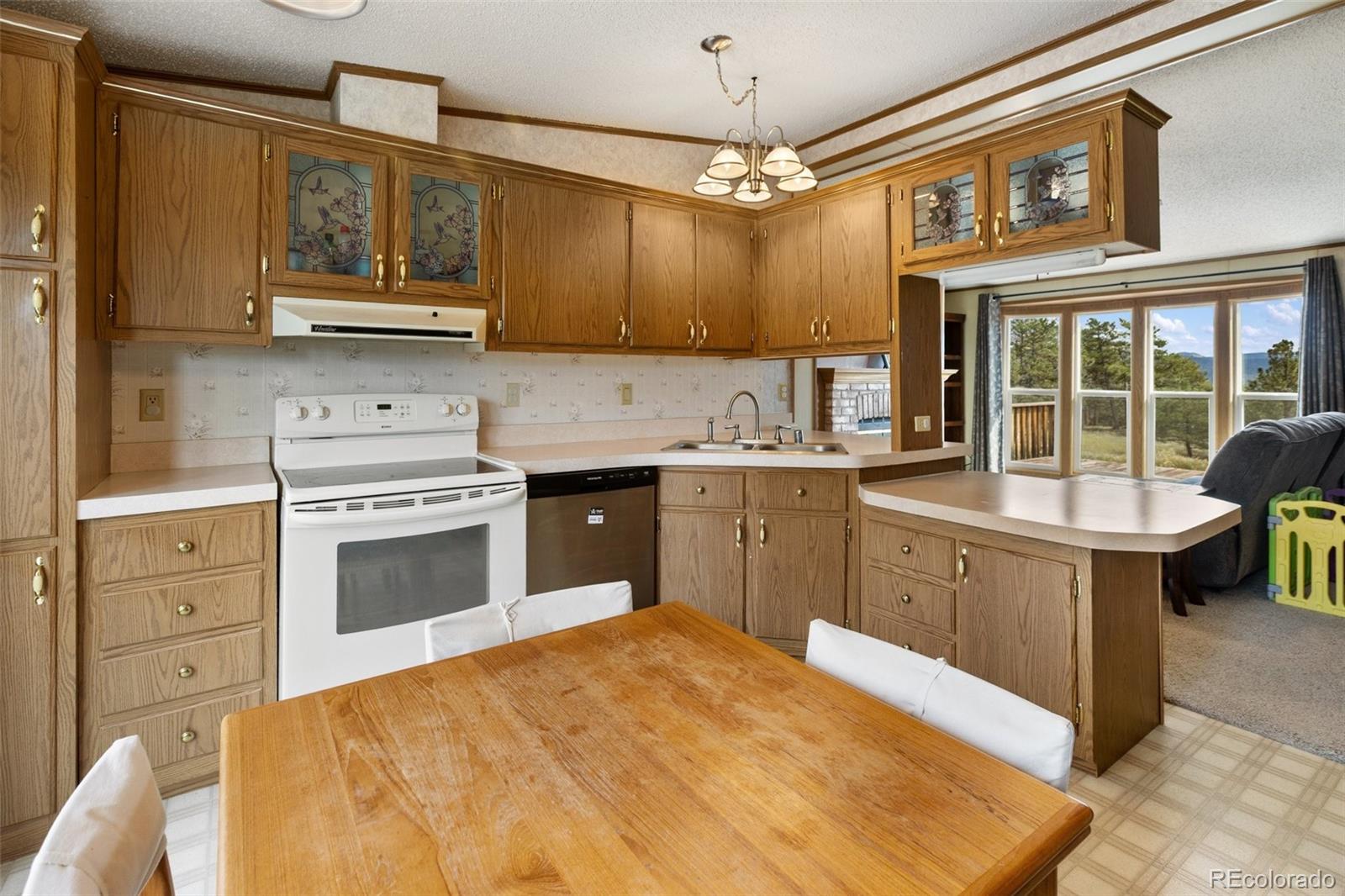 MLS Image #22 for 82  ute circle,florissant, Colorado