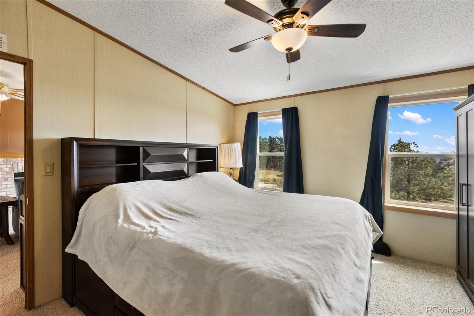 MLS Image #24 for 82  ute circle,florissant, Colorado