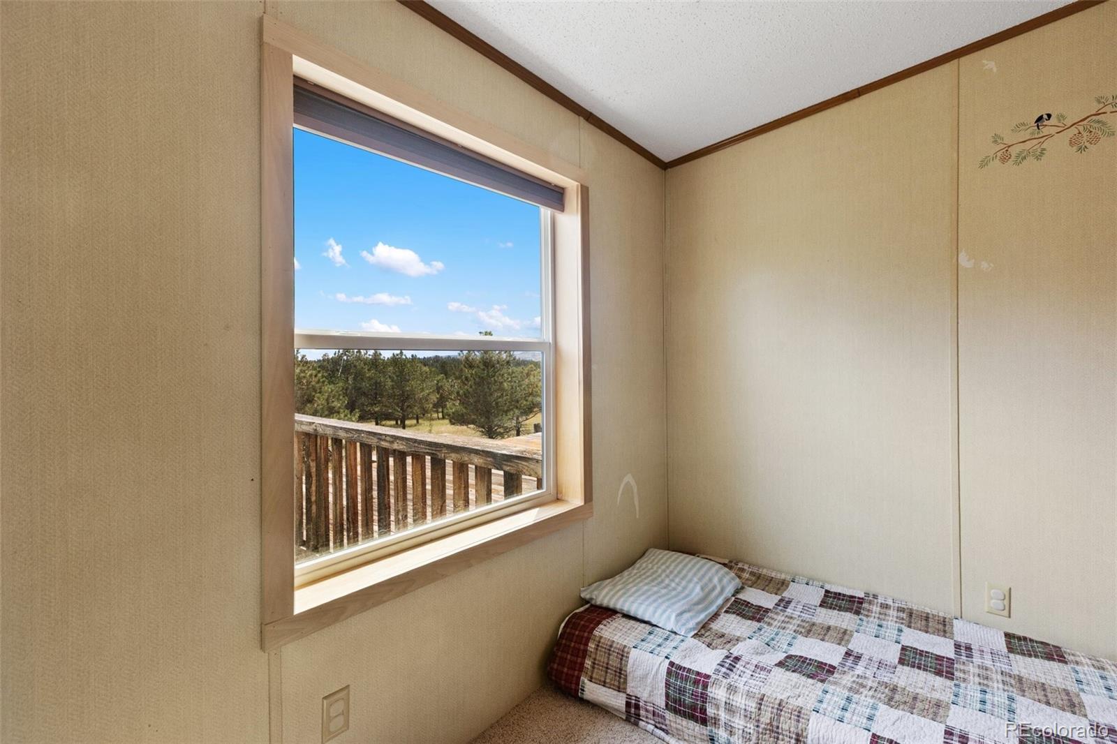 MLS Image #27 for 82  ute circle,florissant, Colorado
