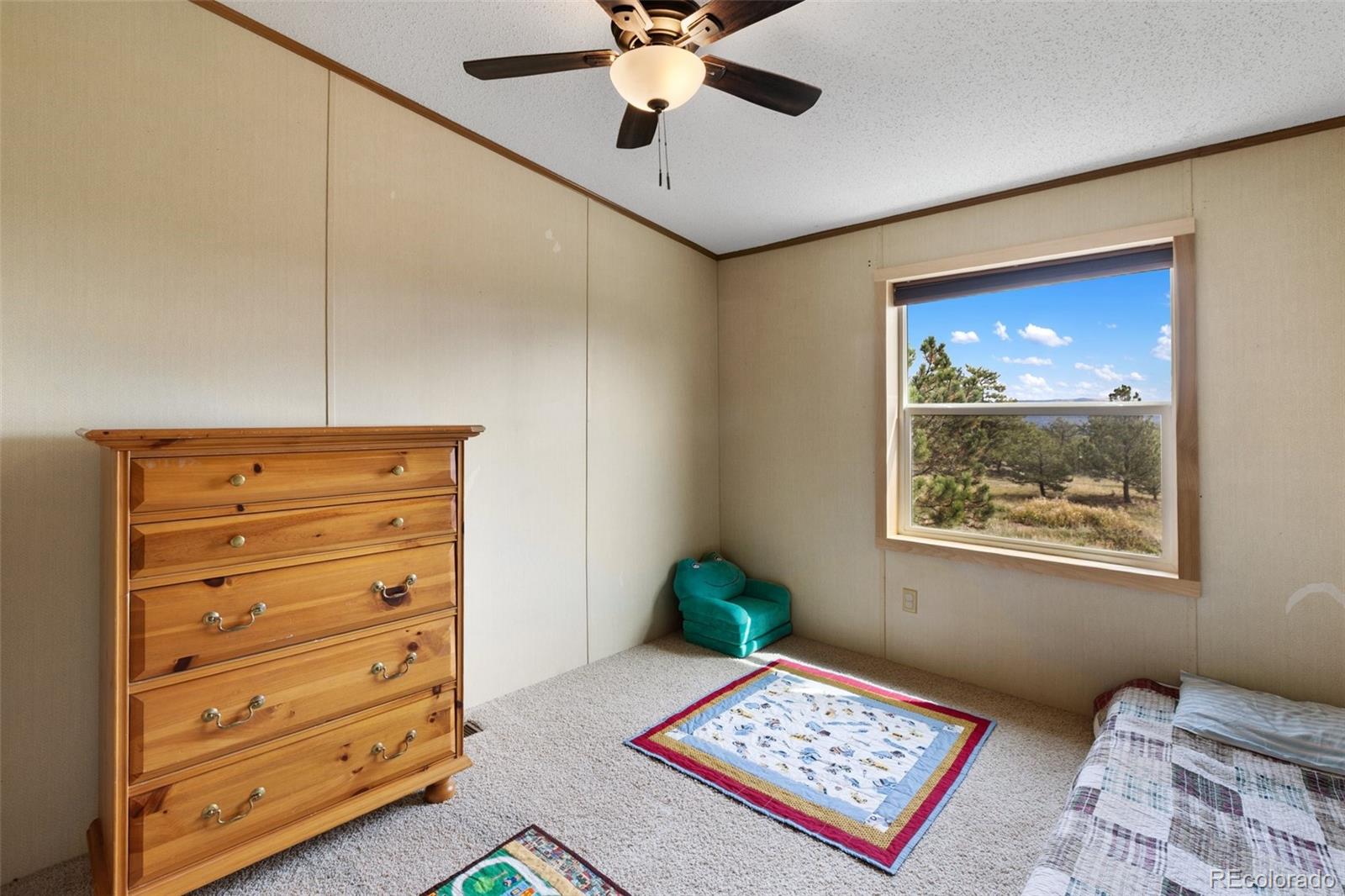MLS Image #28 for 82  ute circle,florissant, Colorado