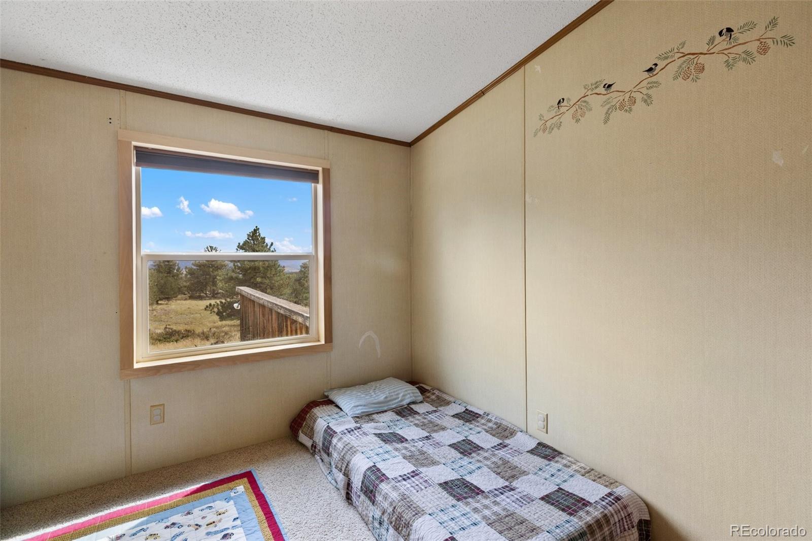 MLS Image #29 for 82  ute circle,florissant, Colorado