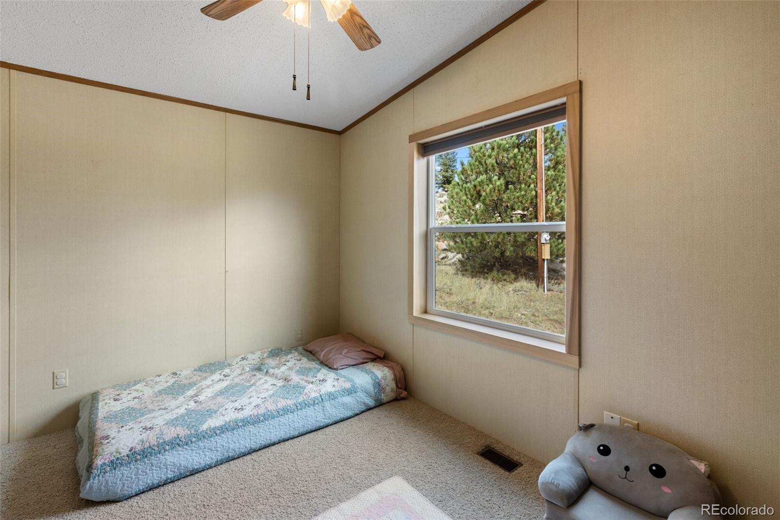 MLS Image #32 for 82  ute circle,florissant, Colorado