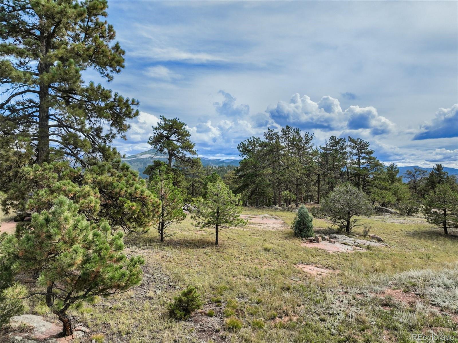 MLS Image #37 for 82  ute circle,florissant, Colorado