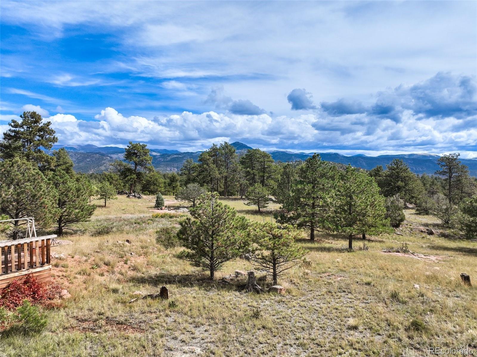 MLS Image #4 for 82  ute circle,florissant, Colorado