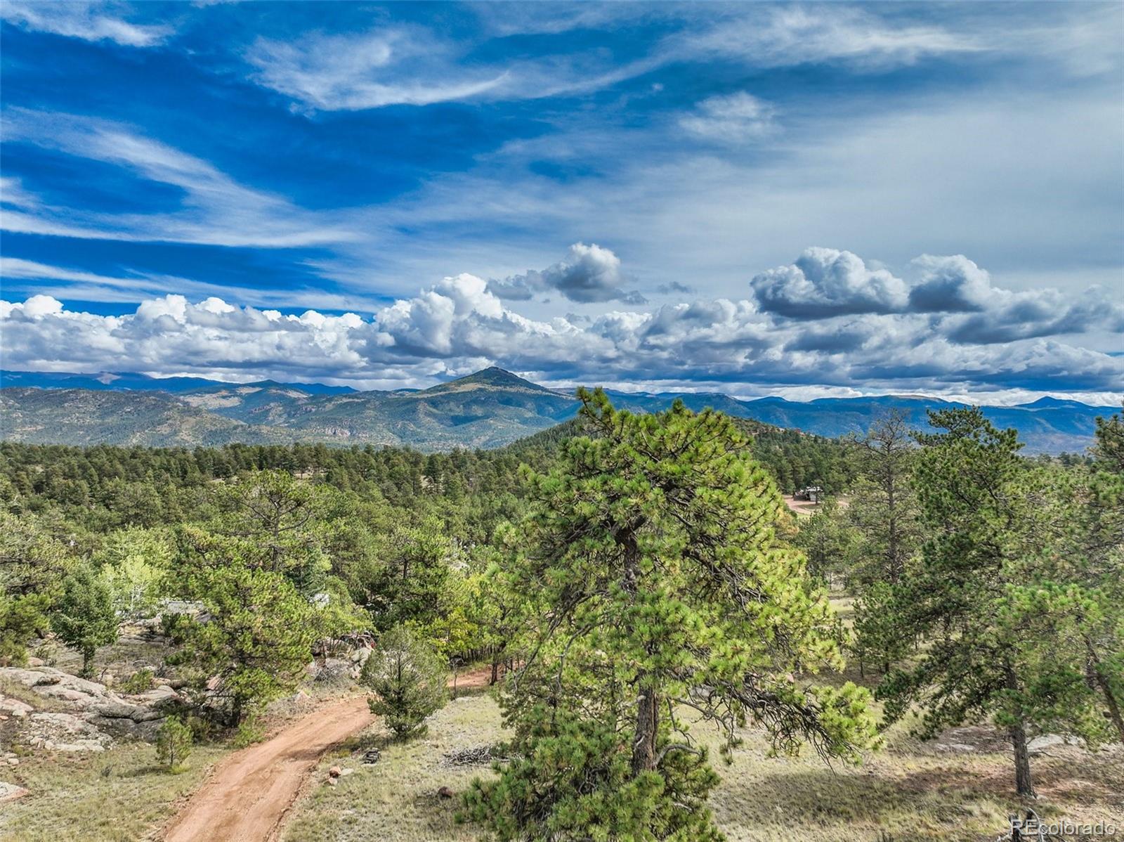 MLS Image #5 for 82  ute circle,florissant, Colorado