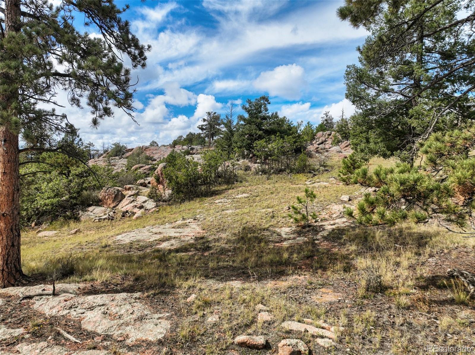 MLS Image #6 for 82  ute circle,florissant, Colorado