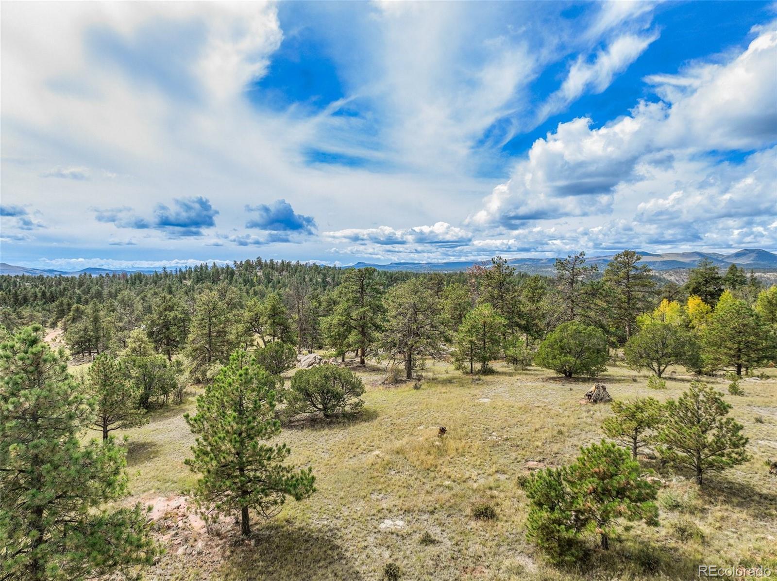 MLS Image #8 for 82  ute circle,florissant, Colorado
