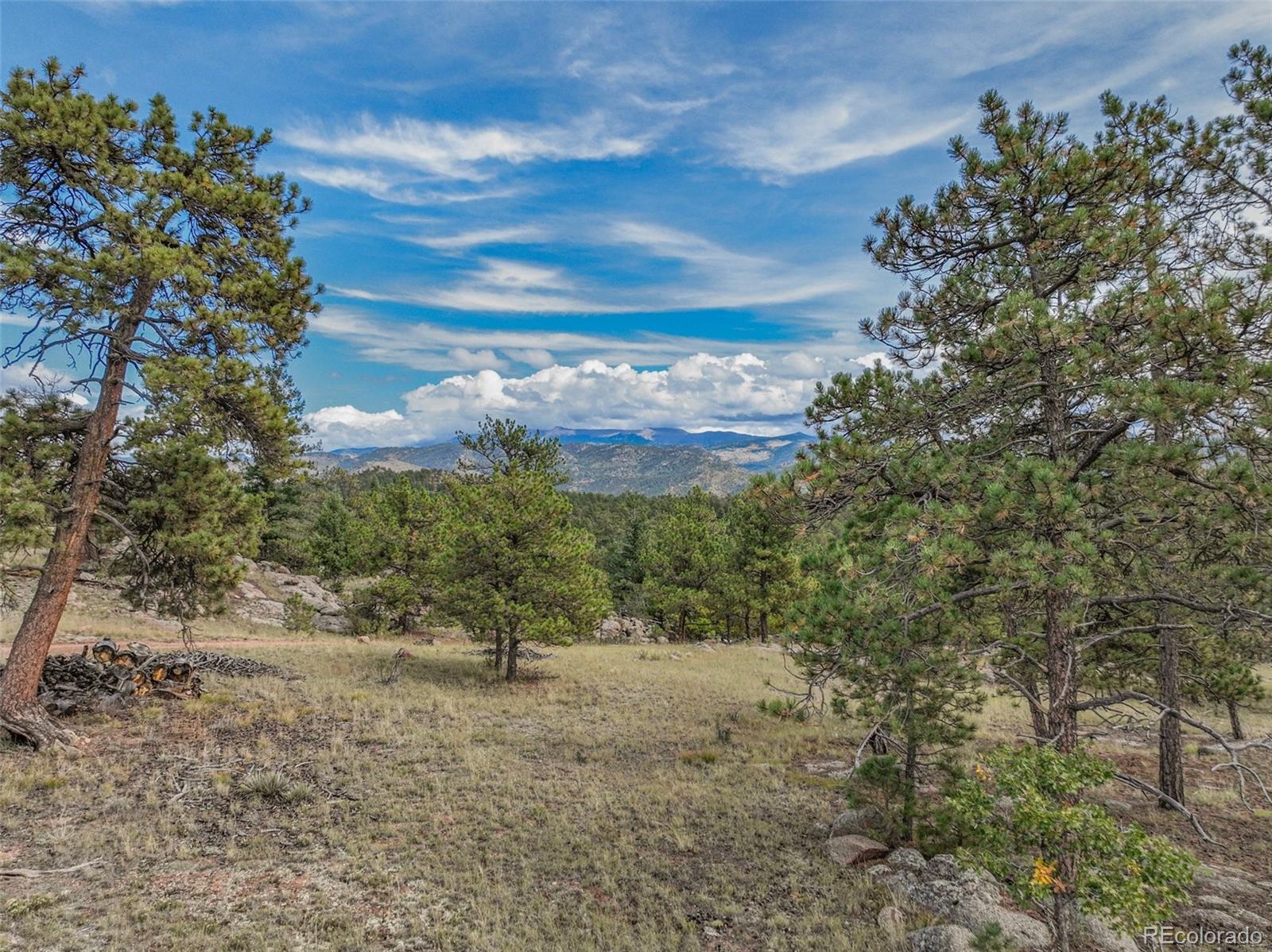 MLS Image #9 for 82  ute circle,florissant, Colorado