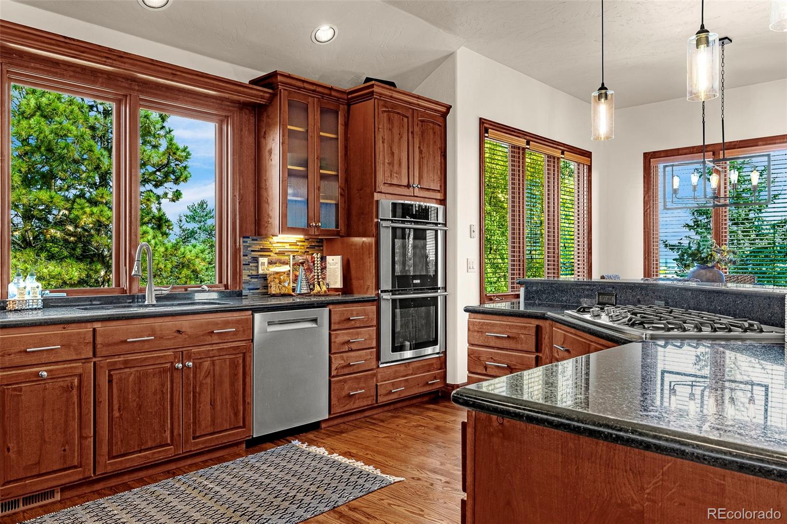 MLS Image #10 for 831  diamond ridge circle,castle rock, Colorado