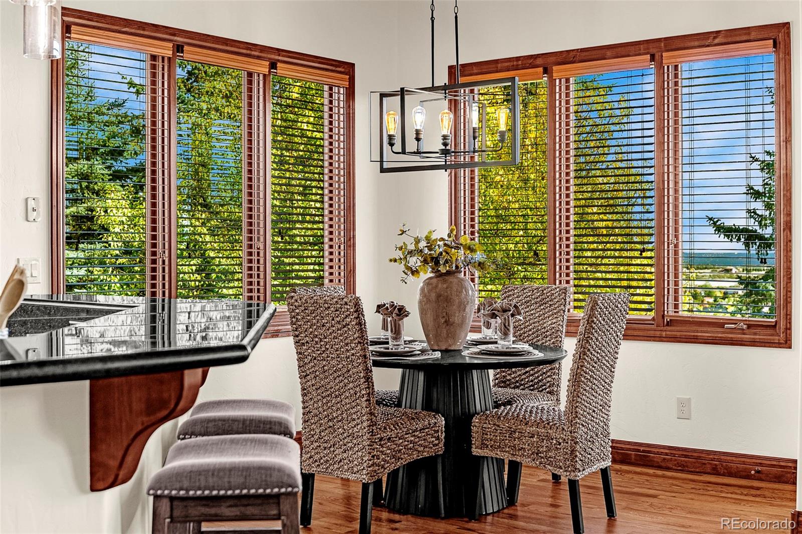 MLS Image #12 for 831  diamond ridge circle,castle rock, Colorado
