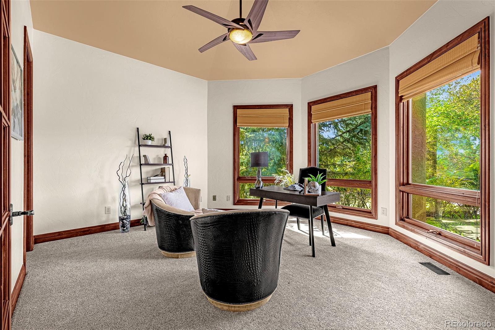 MLS Image #16 for 831  diamond ridge circle,castle rock, Colorado