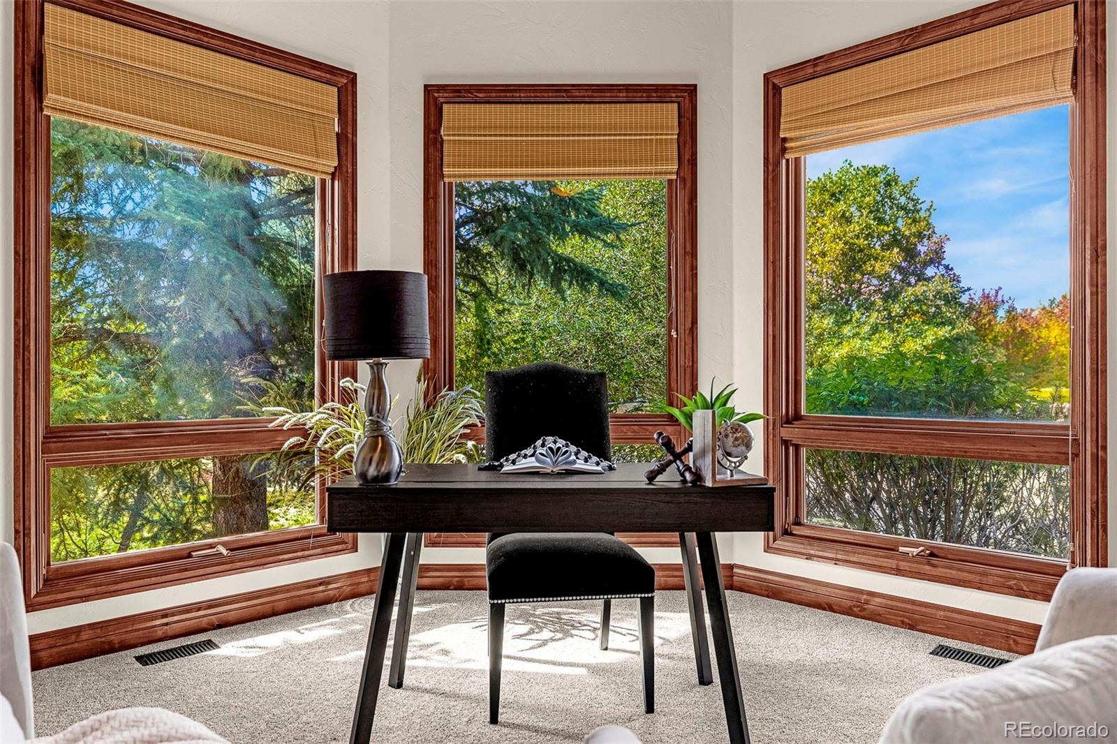 MLS Image #17 for 831  diamond ridge circle,castle rock, Colorado