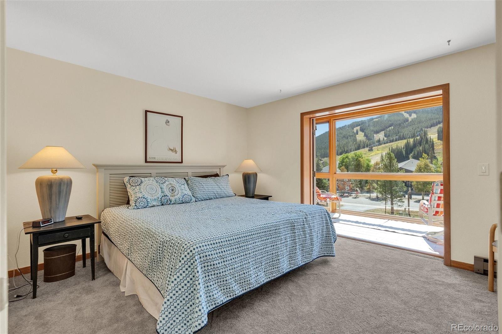 MLS Image #16 for 105  beeler place,frisco, Colorado