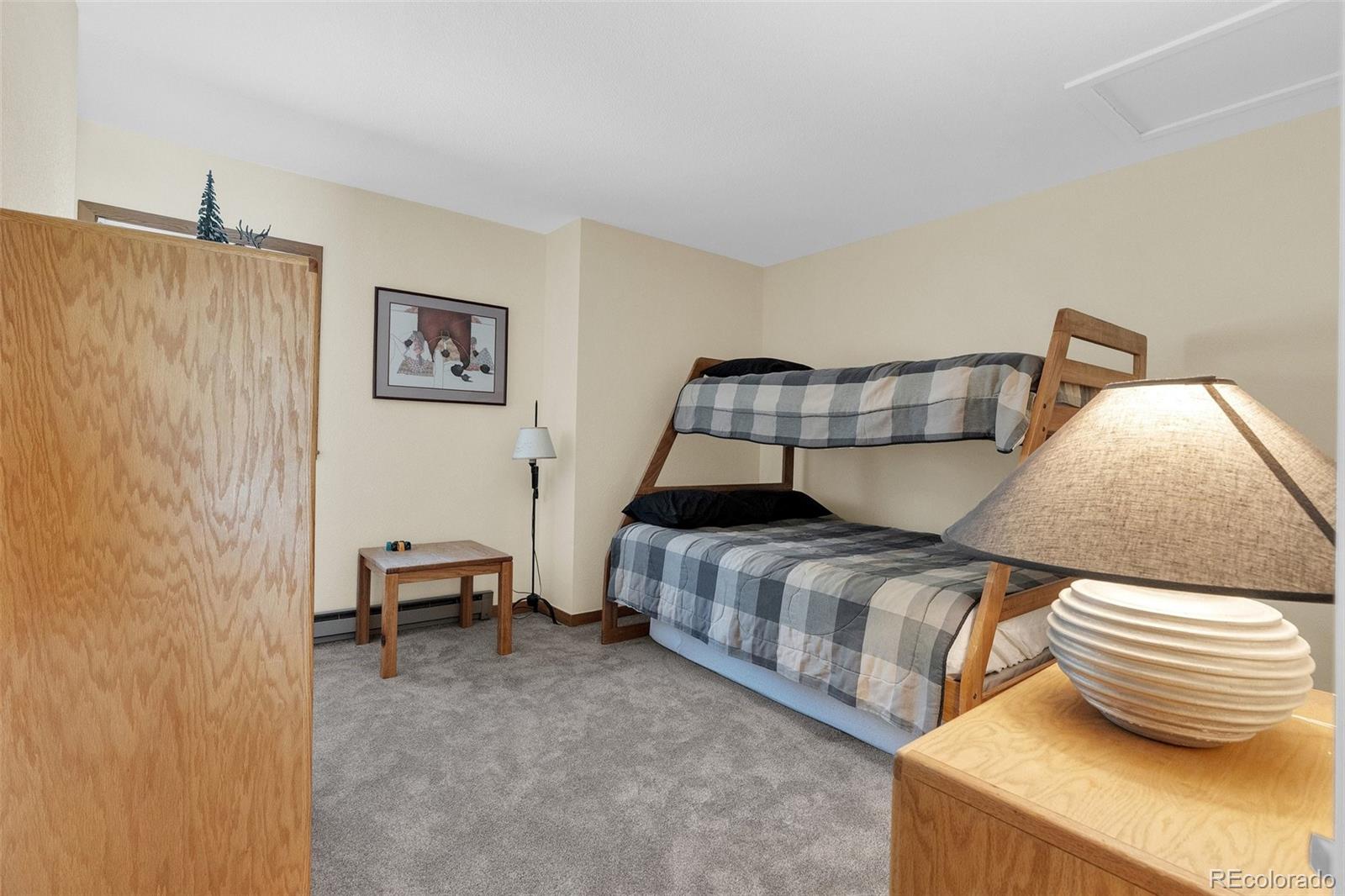 MLS Image #19 for 105  beeler place,frisco, Colorado
