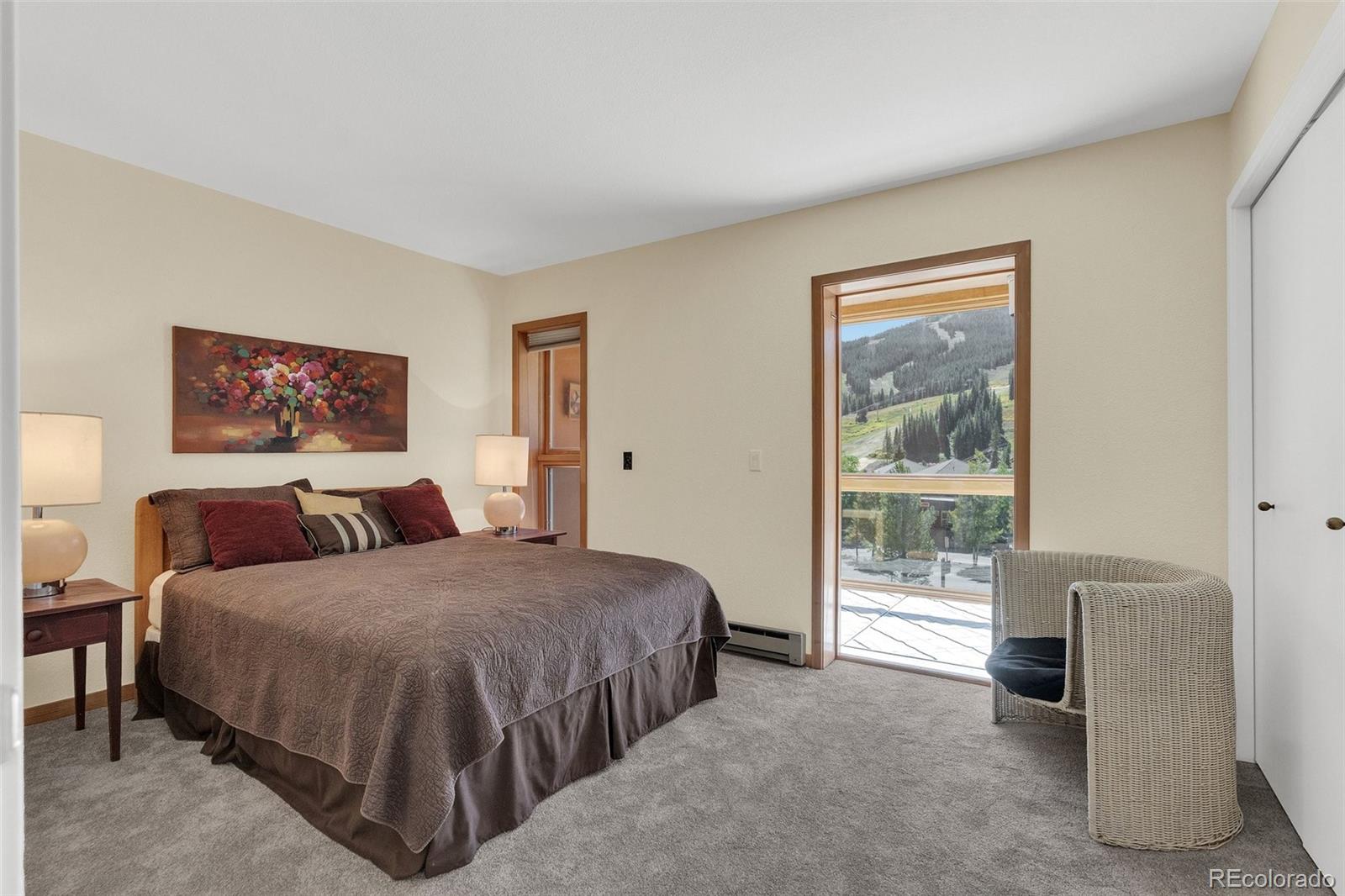 MLS Image #22 for 105  beeler place,frisco, Colorado