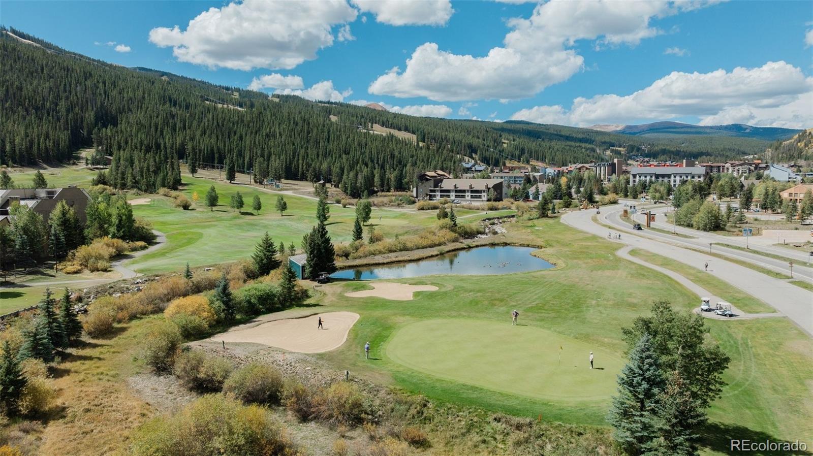 MLS Image #45 for 105  beeler place,frisco, Colorado