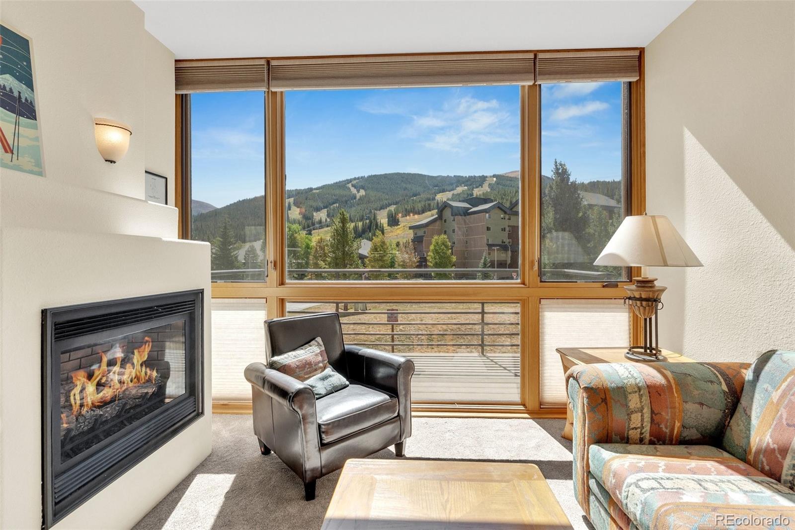 MLS Image #7 for 105  beeler place,frisco, Colorado