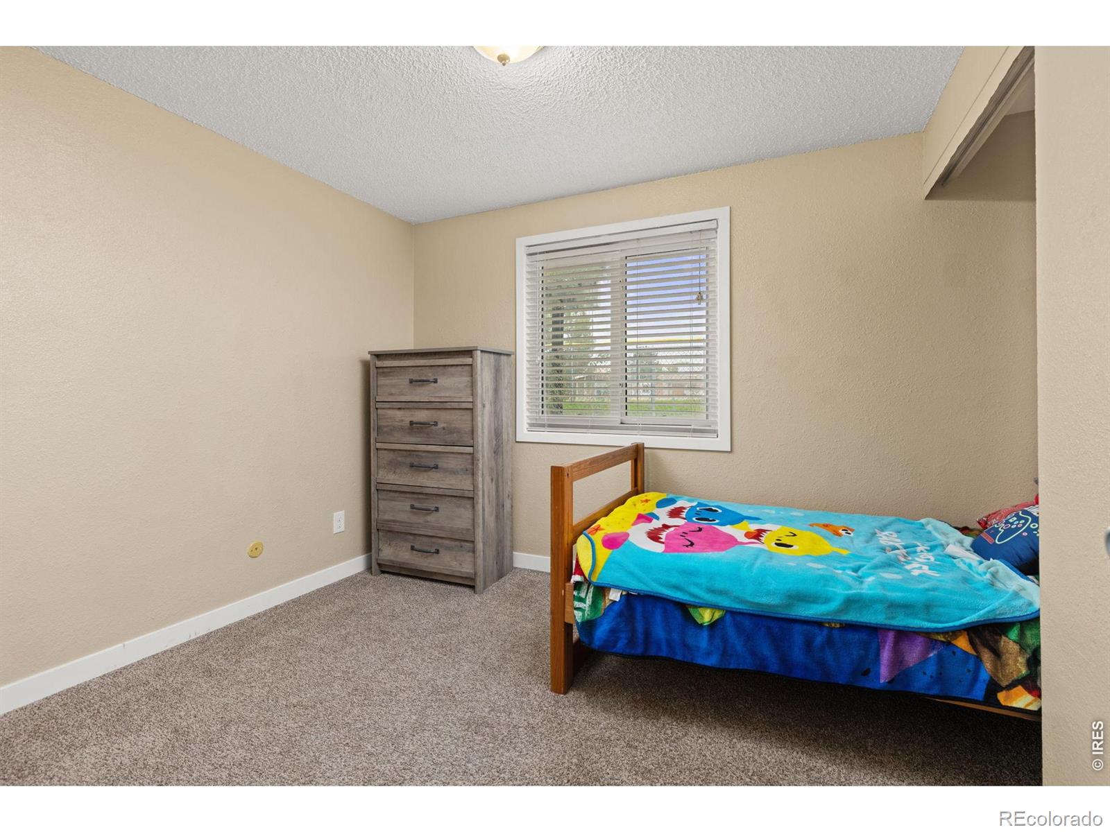 MLS Image #19 for 1704  ranae drive,loveland, Colorado