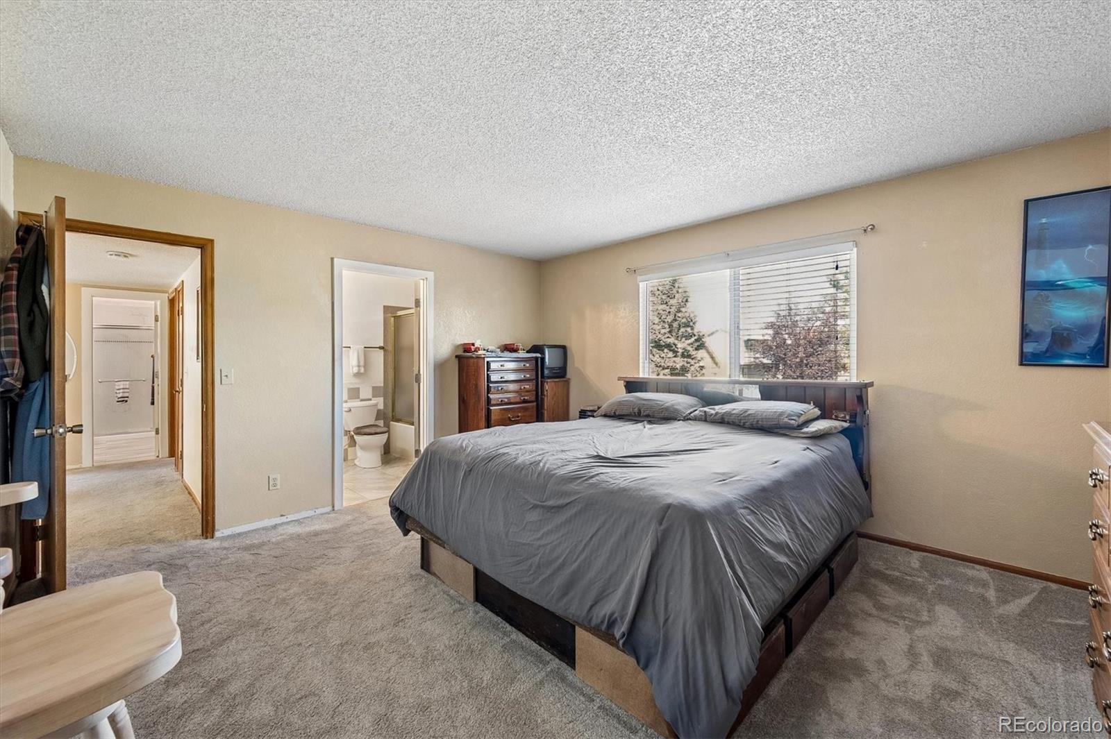 MLS Image #19 for 11997 w aqueduct drive,littleton, Colorado