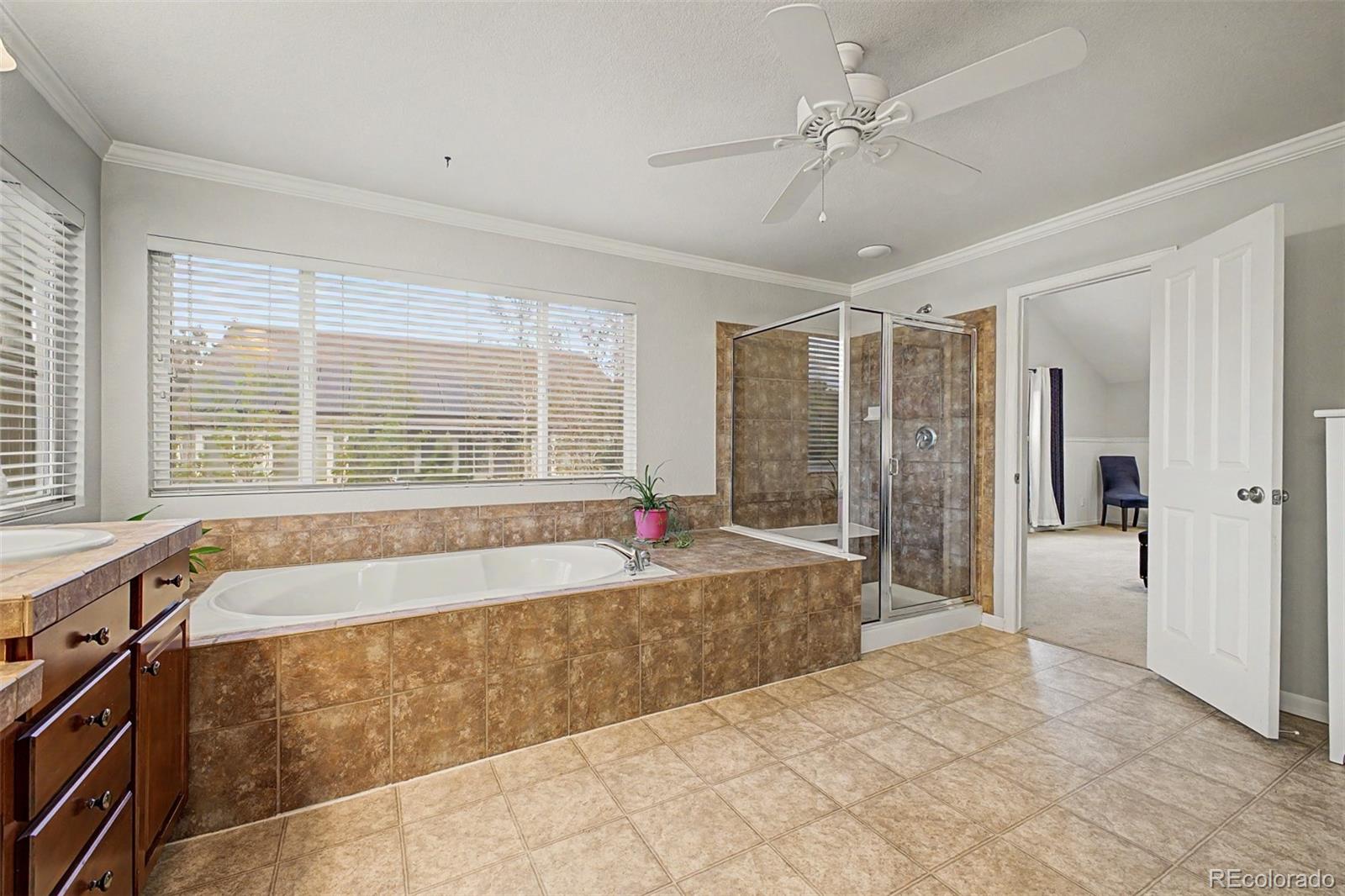 MLS Image #18 for 13667  dexter street,thornton, Colorado