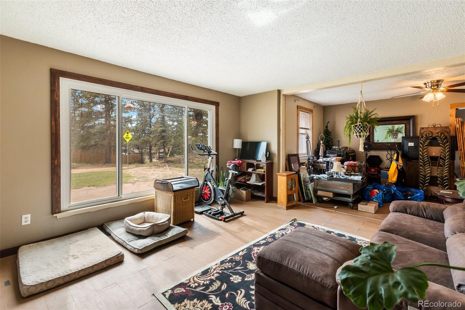 MLS Image #7 for 20  westwood ,woodland park, Colorado