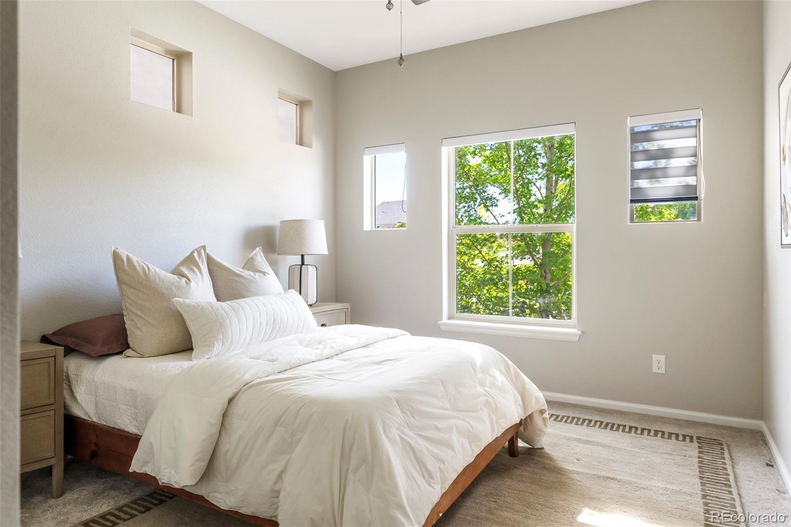 MLS Image #18 for 122  poppy view lane,erie, Colorado