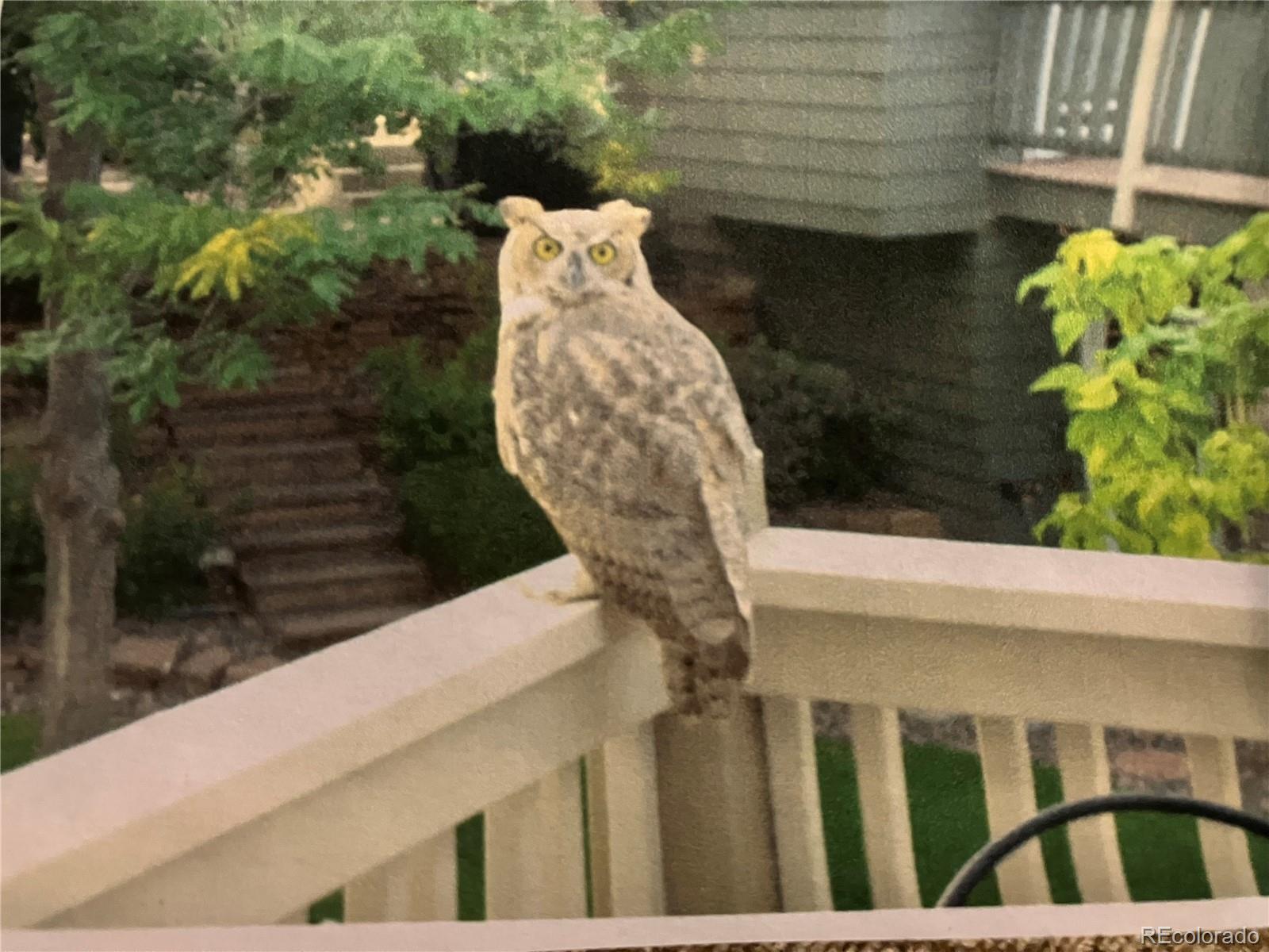MLS Image #13 for 15535 w 67th avenue,arvada, Colorado