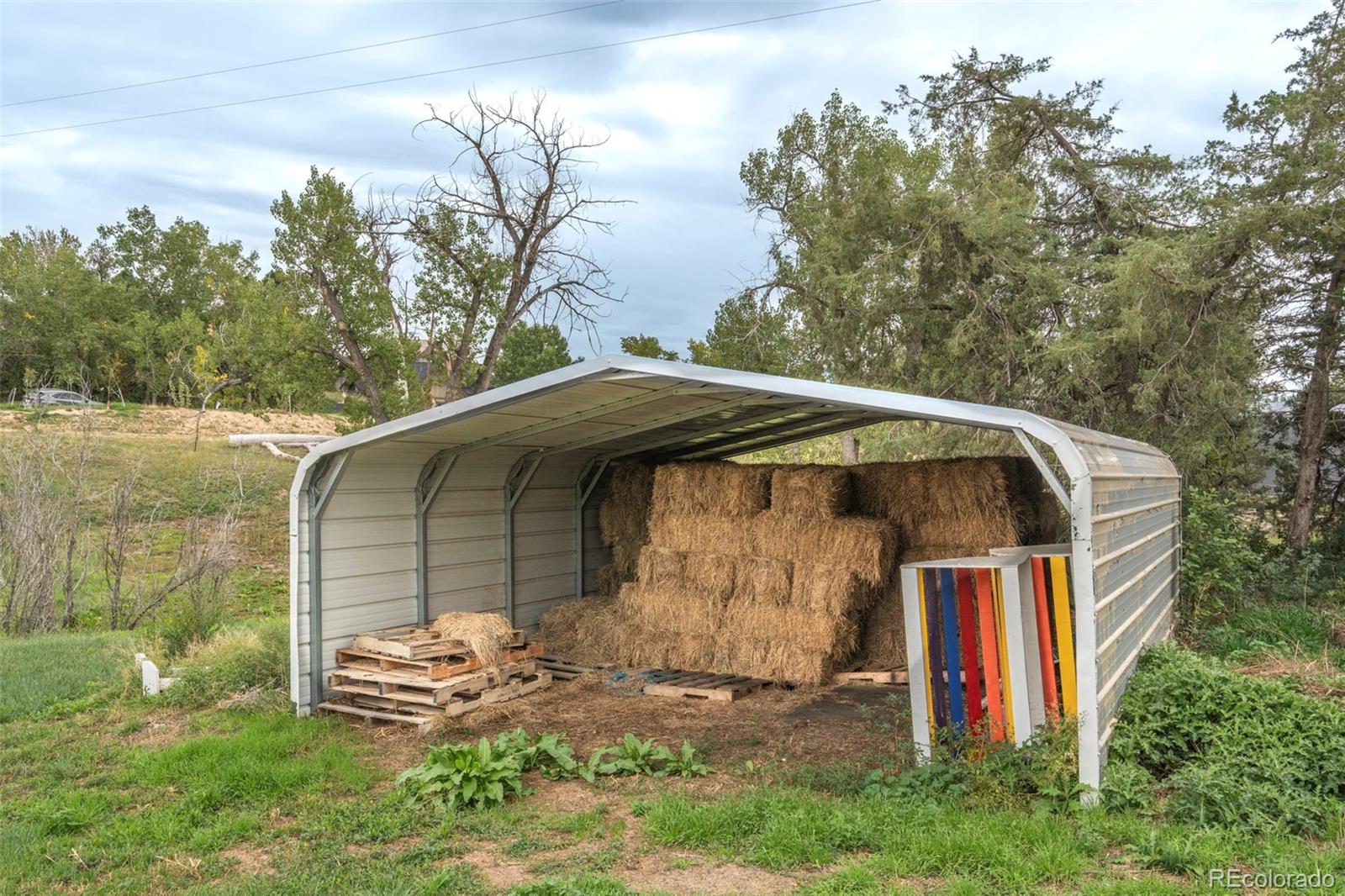 MLS Image #20 for 12545 n 3rd street,parker, Colorado